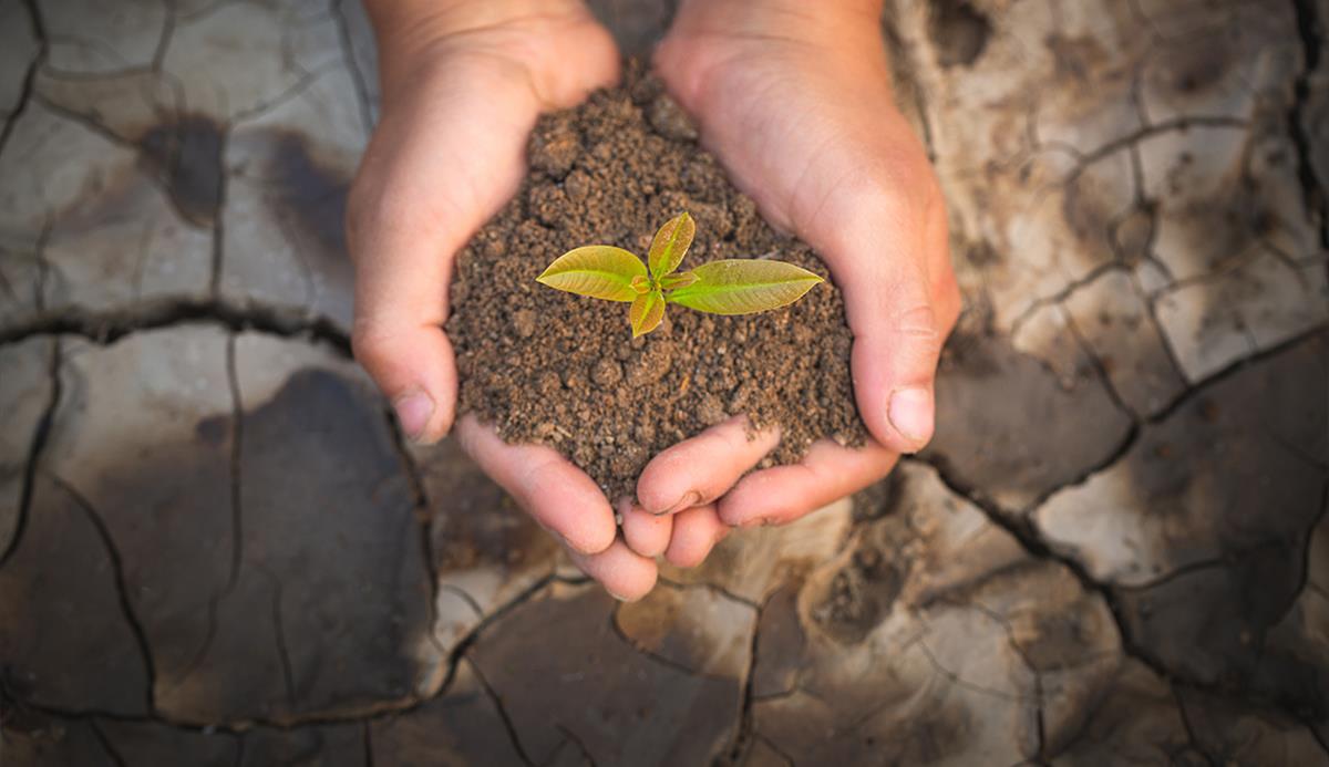 Imagine articol Webinarul Consiliului Stiintific Consultativ European privind Schimbarile Climatice: Consolidarea rezilientei UE la schimbarile climatice